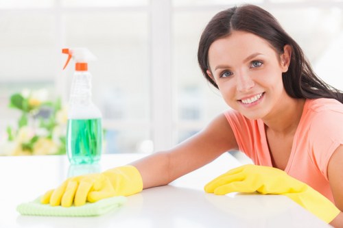 Professional carpet cleaning in a Surrey Quays home