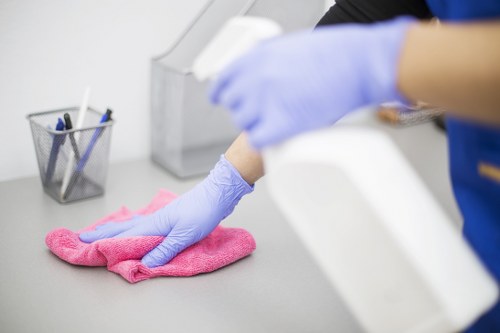 Professional pet stain odour removal in a Surrey Quays home