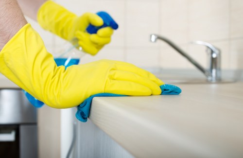 Pricing estimate details for a carpet cleaning service