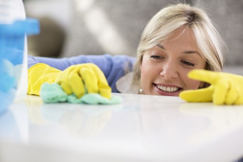 Carpet cleaning process for a busy household