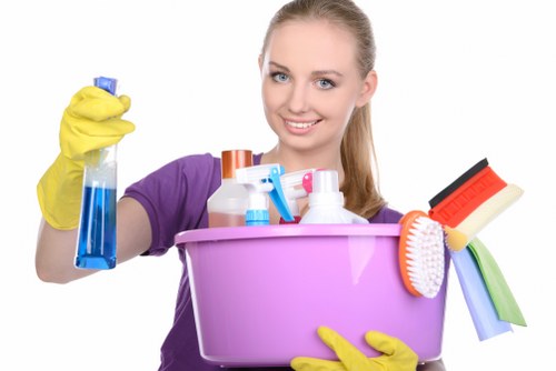 Reviewing service details during a carpet cleaning complaint